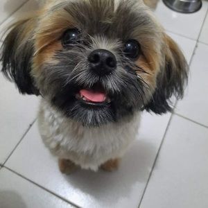 Meet your Posher, Abby